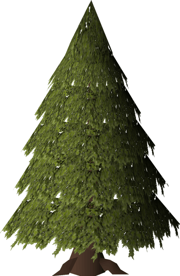 Evergreen Tree PNG