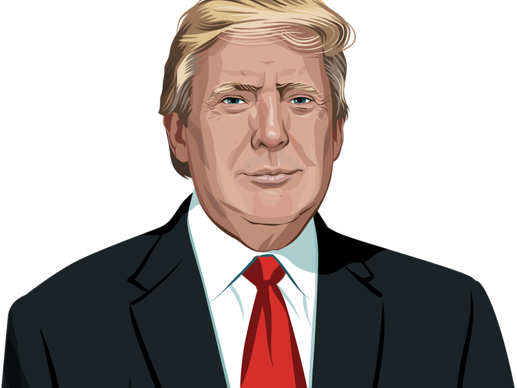 Donald Trump Character PNG