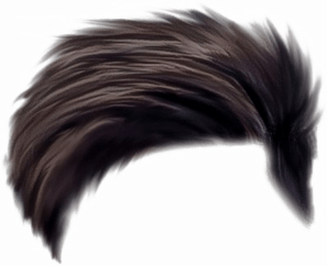 Edgar Haircut PNG