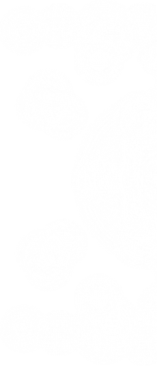 Lens Bokeh PNG