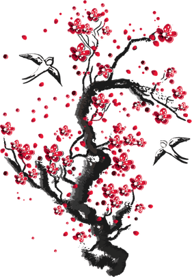 Cherry Blossom Tree PNG