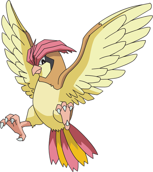Pidgeotto Pokemon PNG