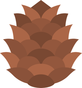 Pine Cone PNG