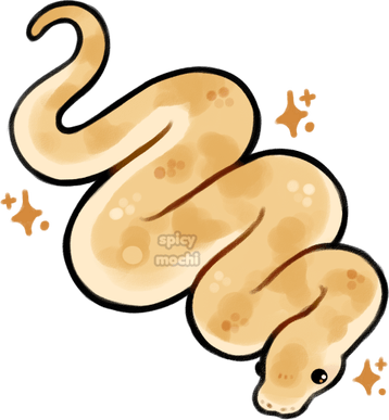 Banana Ball Python PNG