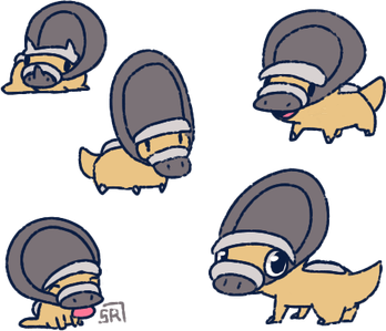Shieldon Pokemon PNG