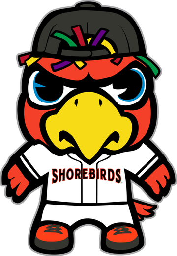 Delmarva Shorebirds PNG