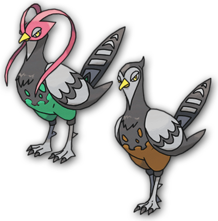 Unfezant Pokemon PNG