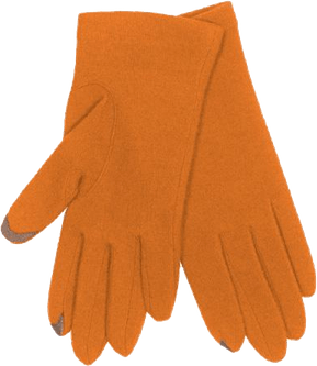 Gloves PNG