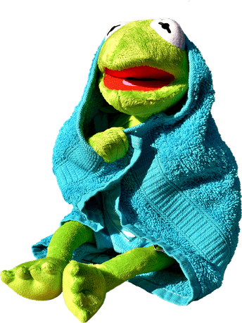 Kermit The Frog PNG