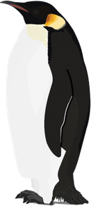Penguin PNG