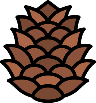 Pine Cone PNG