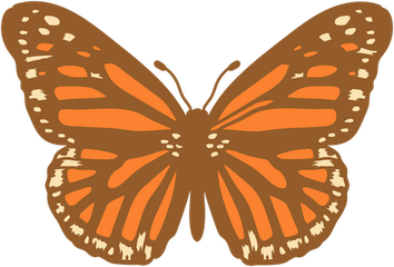 Orange Butterfly PNG