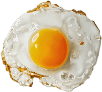 Fried Egg PNG