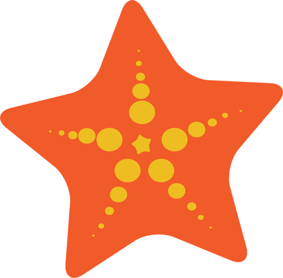 Starfish PNG