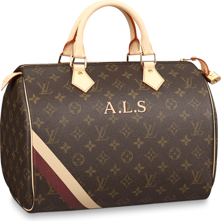 Louis Vuitton Brown Bag PNG
