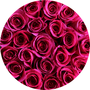 Hot Pink Flower PNG