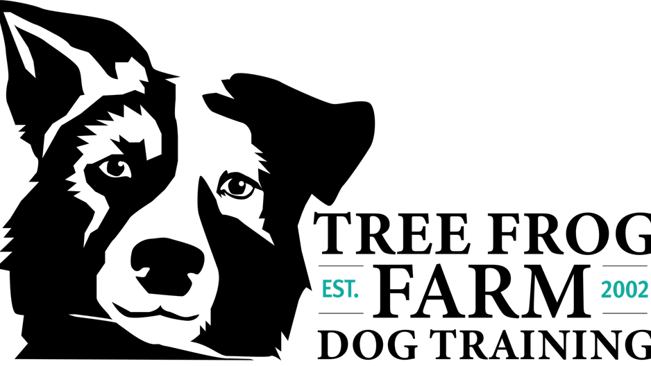 Farm Dog PNG