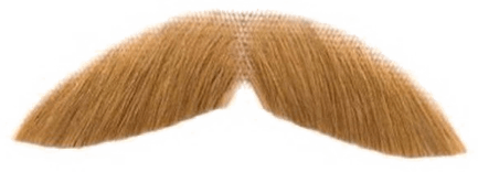 Bigote PNG