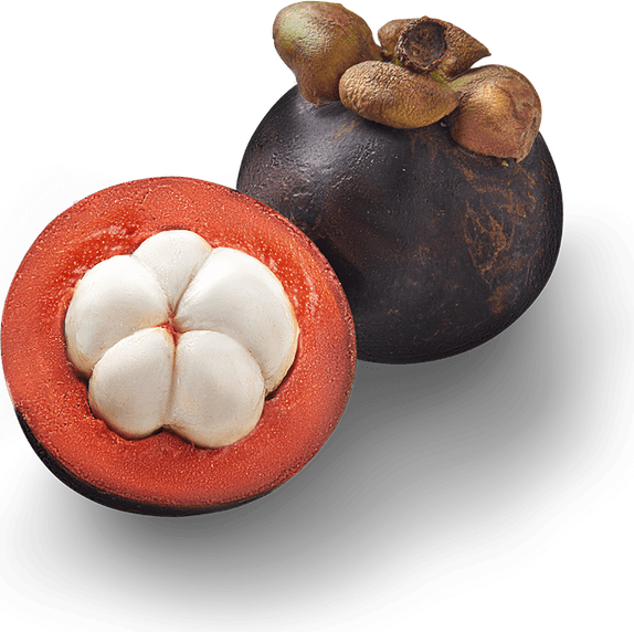 Mangosteen PNG