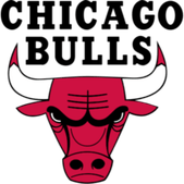 Chicago Bulls Logo PNG