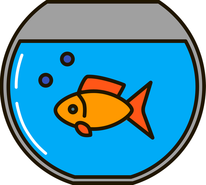 Fish Bowl PNG