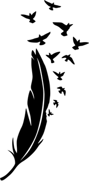 Feathers PNG
