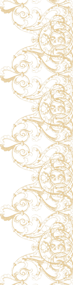 White Lace Border PNG