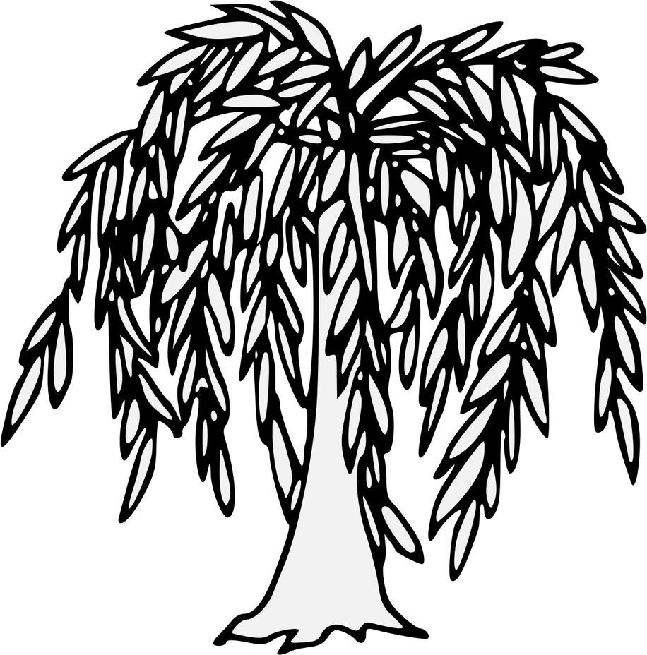 Black Willow Tree PNG