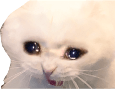 Discord Cat PNG