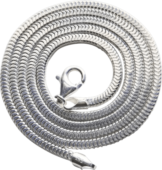 Snake Chain PNG