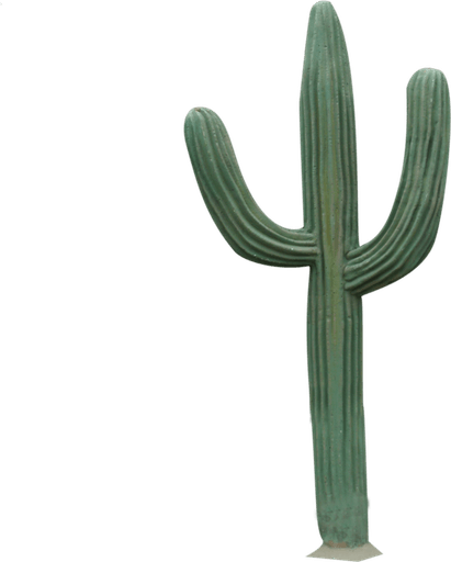 Cactus PNG