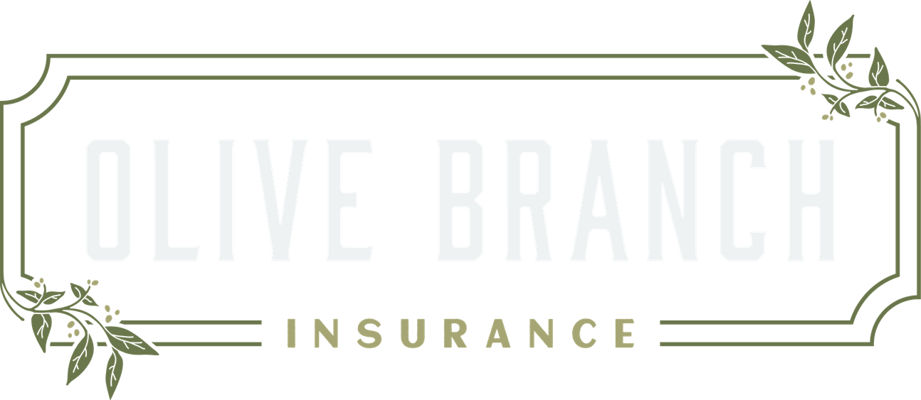 Olive Branch PNG