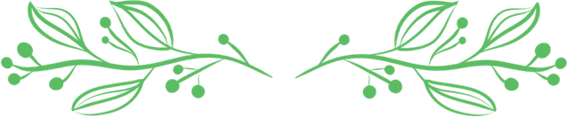 Leaves Divider PNG