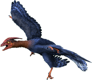 Poisonous Bird PNG