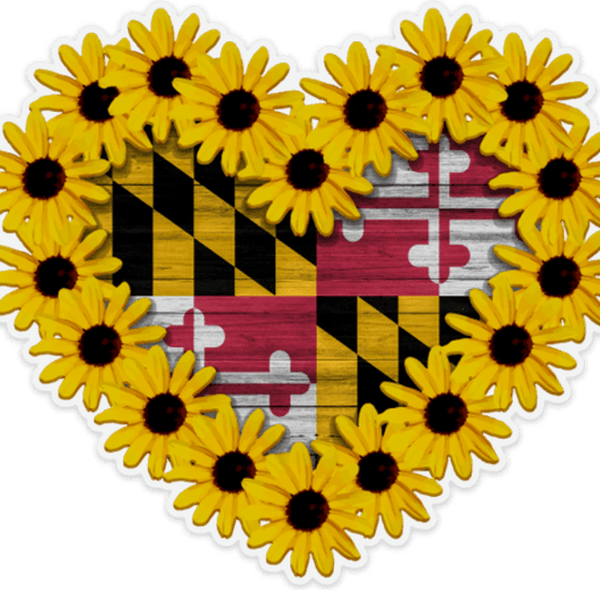 Maryland State Flag PNG