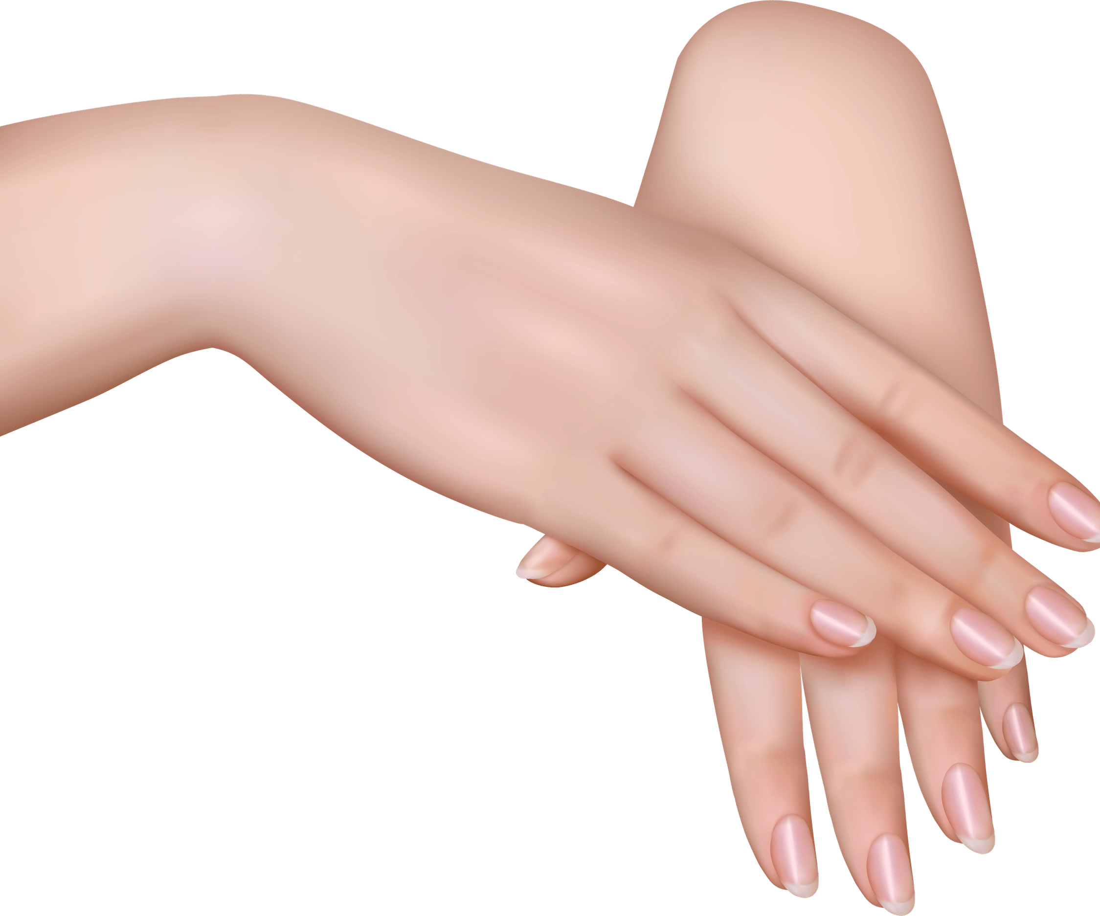 Female Hand PNG