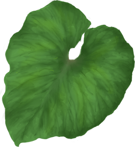 Green Leaves PNG