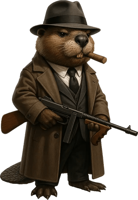 Bobrito Bandito PNG