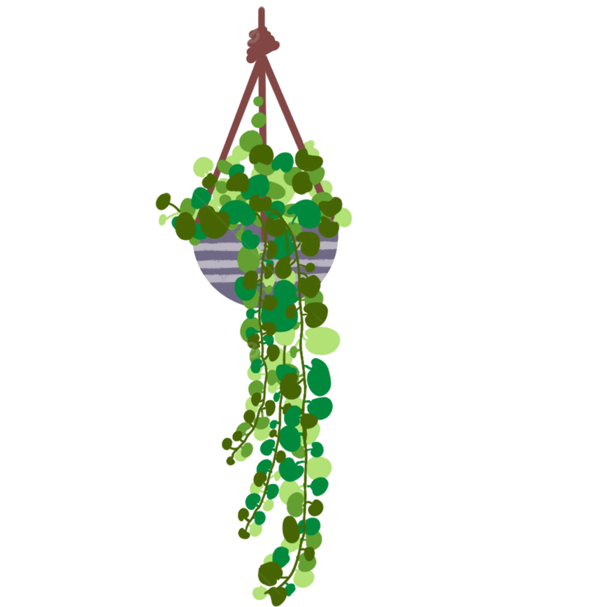 Ivy PNG