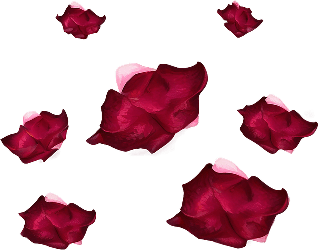 Falling Rose PNG