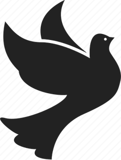 Flying Dove PNG