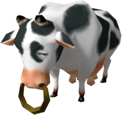 Cows PNG