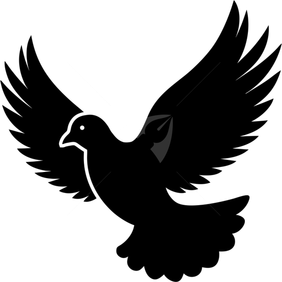Flying Dove PNG