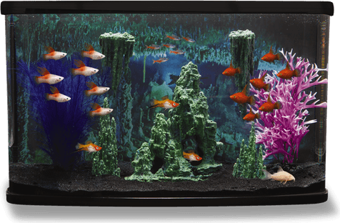 Fish Tank PNG