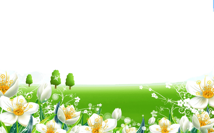 Flower Colorful PNG