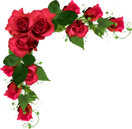 Shubh Vivah Flower Border PNG