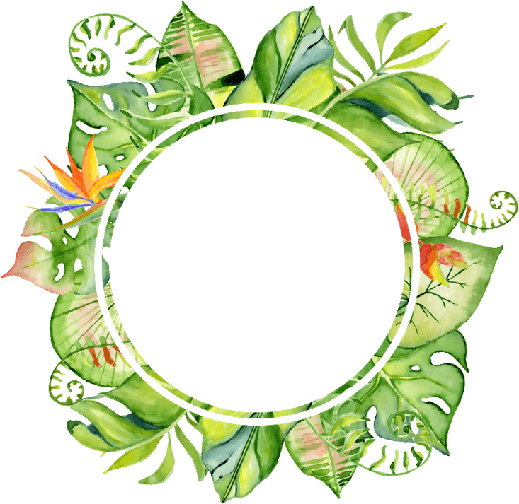 Watercolor Clover PNG