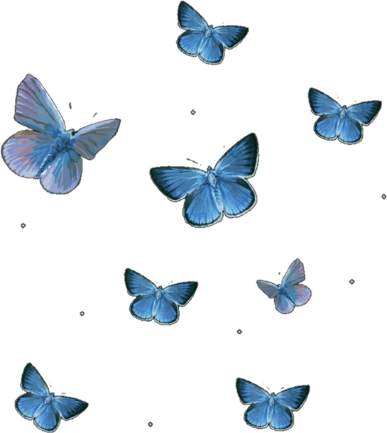 Butterfly Picsart PNG