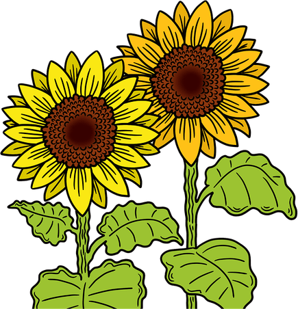 Sunflower Border PNG