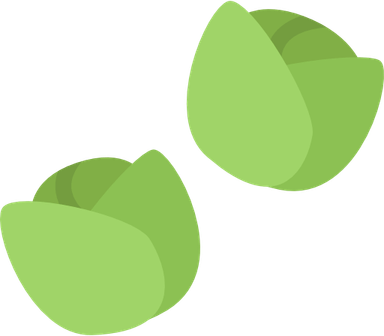 Brussel Sprout PNG